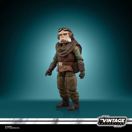Hasbro - Kuiil - The Mandalorian Star Wars Vintage Collection