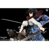 Kitsune - Attack of the Titans - Mikasa Ackerman 