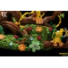 Cartoon Kingdom - The Marsupilami family diorama 1/6 