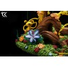 Cartoon Kingdom - The Marsupilami family diorama 1/6 