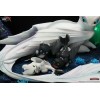Taka Corp - FURIE ÉCLAIR & LES ÉCLAIRS NOCTURNES - How to Train Your Dragon - 1/6