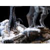 Iron Studios - Blue & Beta - Jurassic World Dominion 1/10 BDS Art Scale
