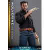 Hot Toys - Wolverine (1973 Version) Deluxe Version - X-Men Days of Future Past Movie Masterpiece Figure 1/6