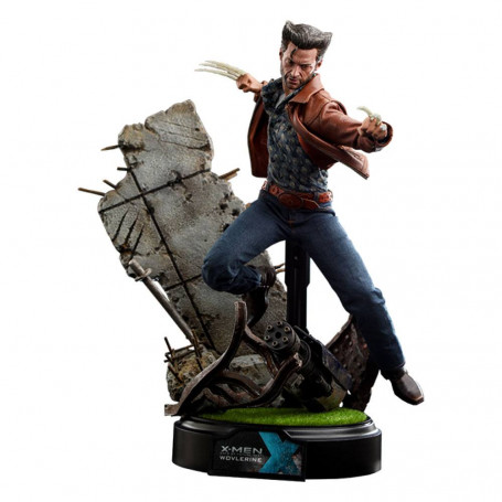 Hot Toys - Wolverine (1973 Version) Deluxe Version - X-Men Days of Future Past Movie Masterpiece Figure 1/6
