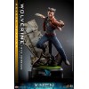 Hot Toys - Wolverine (1973 Version) Deluxe Version - X-Men Days of Future Past Movie Masterpiece Figure 1/6