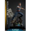 Hot Toys - Wolverine (1973 Version) Deluxe Version - X-Men Days of Future Past Movie Masterpiece Figure 1/6