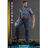 Hot Toys - Wolverine (1973 Version) Deluxe Version - X-Men Days of Future Past Movie Masterpiece Figure 1/6