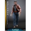 Hot Toys - Wolverine (1973 Version) Deluxe Version - X-Men Days of Future Past Movie Masterpiece Figure 1/6