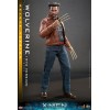 Hot Toys - Wolverine (1973 Version) Deluxe Version - X-Men Days of Future Past Movie Masterpiece Figure 1/6