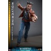Hot Toys - Wolverine (1973 Version) Deluxe Version - X-Men Days of Future Past Movie Masterpiece Figure 1/6