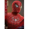 Hot Toys - Friendly Neighborhood Spider-Man (Deluxe Version) - Marvel's Spider-Man: No Way Home Movie Masterpiece Figure 1/6