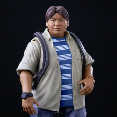 Marvel Legends - Spider-Man Homecoming - Peter Parker And Ned Leeds 2 Pack
