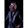 Neca - TMNT - Ninja Turtles 2-pack - Shadow Warriors OROKU SAKI & HAMATO YOSHI - TMNT The Movie