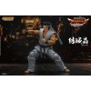 Storm Collectibles - Akira Yuki - Virtua Fighter 5 Ultimate Showdown 1/12