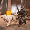 Hasbro G.I.JOE - Set of 2 figures Snake eyes & Timber - Classified Series