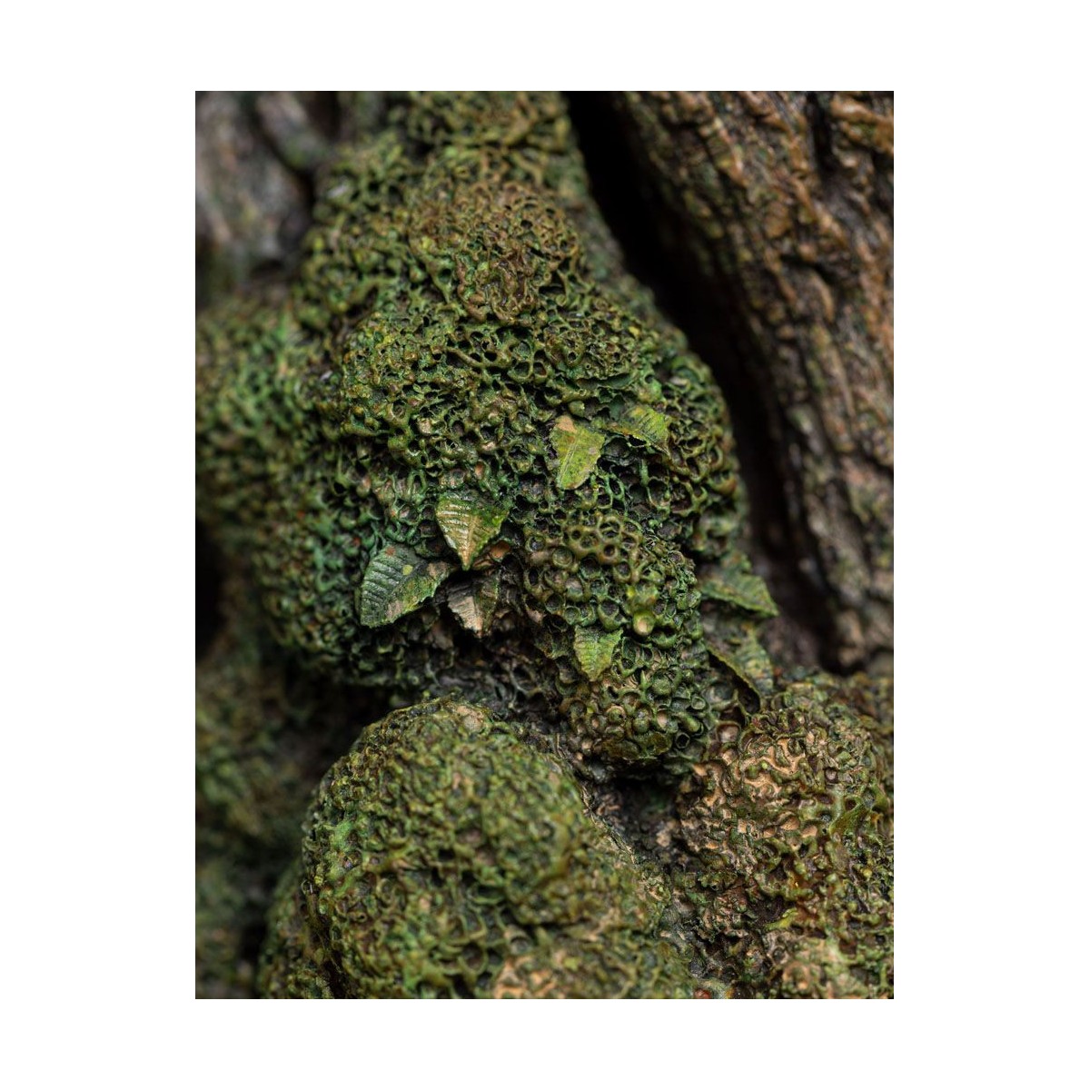 Weta - Leaflock the Ent Statue 1/6 - Lord of the Rings