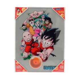 SD Toys - Dragonball glass poster "Characters