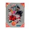 SD Toys - Dragonball glass poster "Characters