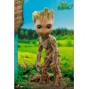 Hot Toys Movie Masterpiece - GROOT DELUXE - I'm Groot