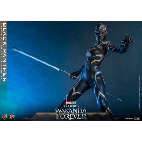 Hot Toys - Black Panther - Black Panther Wakanda Forever Movie Masterpiece 1/6
