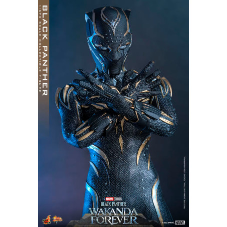 Hot Toys - Black Panther - Black Panther Wakanda Forever Movie Masterpiece 1/6