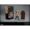 Hot toys - Star Wars Attack of the Clones - Mace Windu 1/6