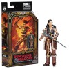 Hasbro - HOLGA - Dungeons & Dragons Honor Among Thieves - Golden Archive