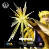 Tsume Ikigai - VIRGO SHAKA - Saint Seiya - The Knights of the Zodiac Shake of the Virgin