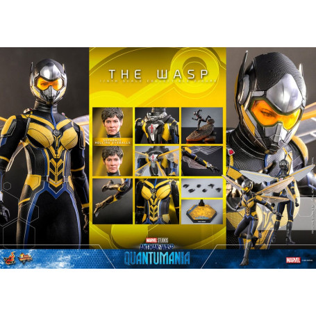 Hot Toys Movie Masterpiece 1/6 The Wasp - AntMan & The Wasp: Quantumania