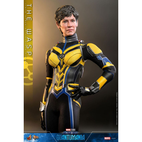 Hot Toys Movie Masterpiece 1/6 The Wasp - AntMan & The Wasp: Quantumania