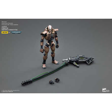 JoyToy Necrons - Necrons Szarekhan Dynasty Immortal with Tesla Carbine 1/18 pack - Warhammer 40K
