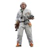 Hot Toys Back to the Future Doc Brown figure 1/6