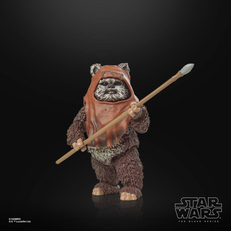 Star Wars Black Series - Wicket Return of the Jedi 40th Anniversary