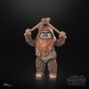 Star Wars Black Series - Wicket Return of the Jedi 40th Anniversary