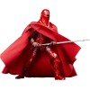 Star Wars The Black Series Carbonized - Pack 2 figures Emperor's Royal Guard & TIE Fighter Pilot - 40th ROTJ Anniversary