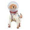 Marvel Legends Series - Adam Warlock - Guardians of the Galaxy vol.3