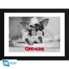 ABYstyle - GREMLINS - Framed print "Gizmo" (30x40)