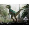 Prime 1 Studio - Jurassic World: Fallen Kingdom - Baby Blue 1/2 Scale Statue