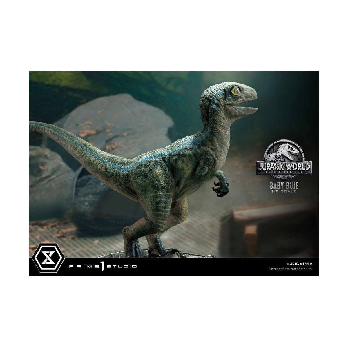 Prime 1 Studio - Jurassic World: Fallen Kingdom - Baby Blue 1/2 Scale Statue