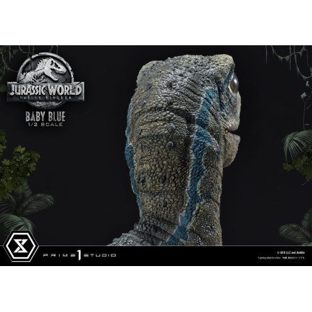 Prime 1 Studio - Jurassic World: Fallen Kingdom - Baby Blue 1/2 Scale Statue