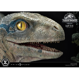 Prime 1 Studio - Jurassic World: Fallen Kingdom - Baby Blue 1/2 Scale Statue
