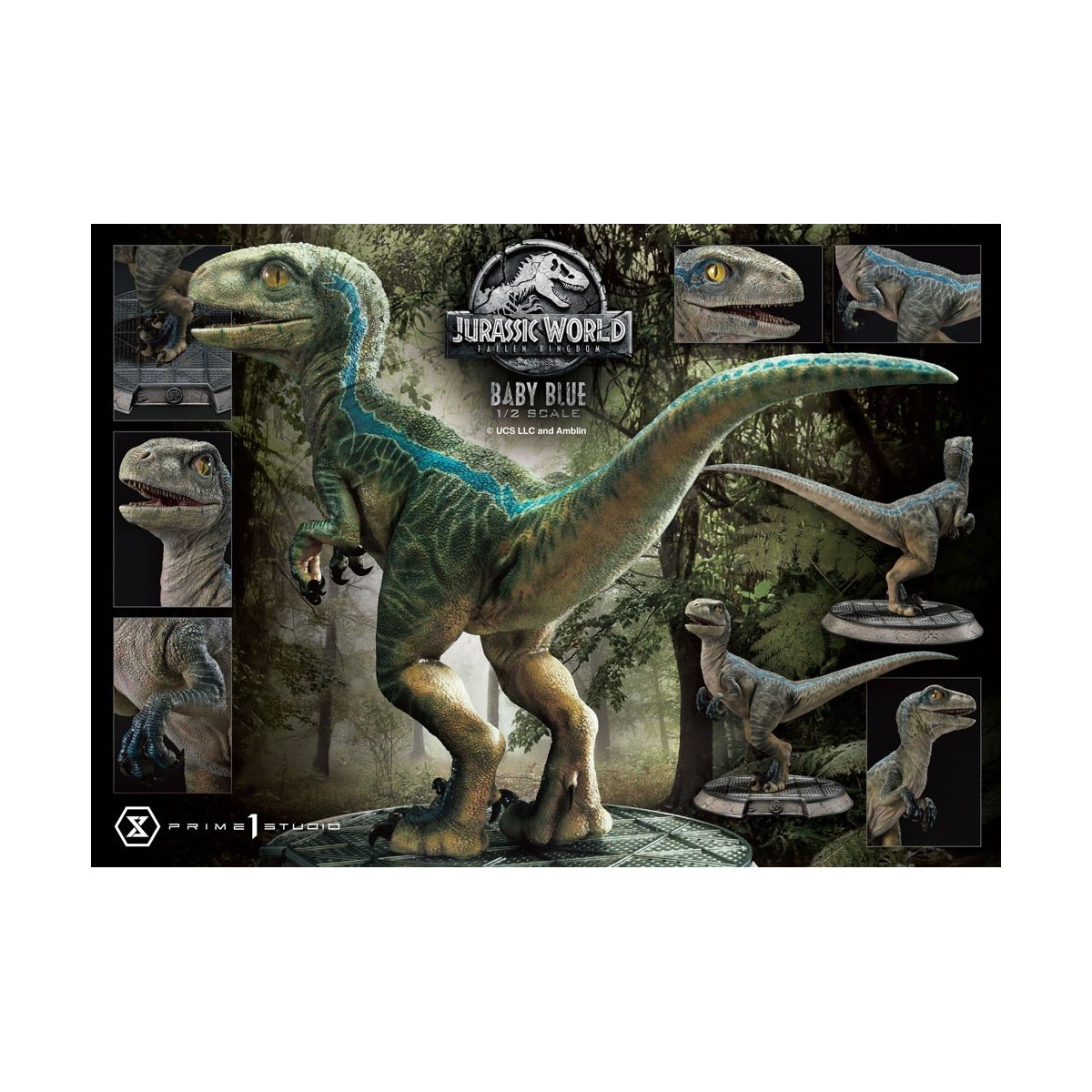 Prime 1 Studio - Jurassic World: Fallen Kingdom - Baby Blue 1/2 Scale Statue