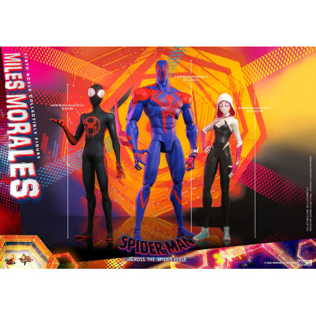 Hot Toys - Miles Morales - Spider-Man: Across the Spider-Verse Part One - Movie Masterpiece 1/6