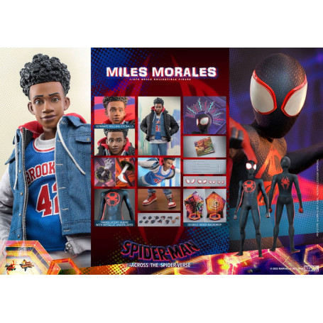 Hot Toys - Miles Morales - Spider-Man: Across the Spider-Verse