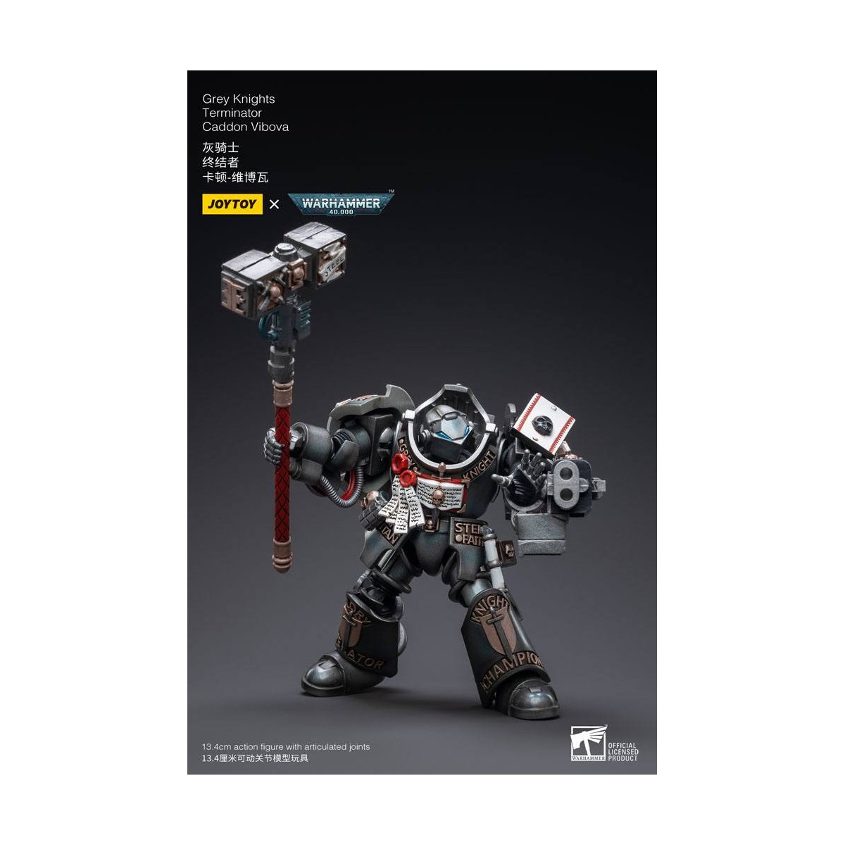 JoyToy Space marines - Terminators Grey Knights - Caddon Vibova 1/18 - Warhammer 40K