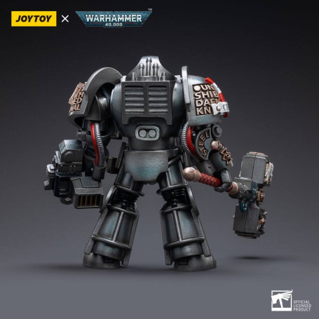 JoyToy Space marines - Terminators Grey Knights - Caddon Vibova 1/18 - Warhammer 40K