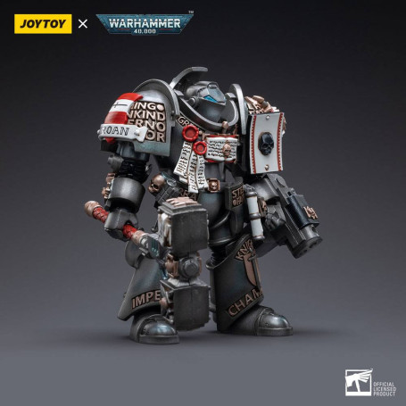 JoyToy Space marines - Terminators Grey Knights - Caddon Vibova 1/18 - Warhammer 40K