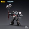 JoyToy Space marines - Terminators Grey Knights - Caddon Vibova 1/18 - Warhammer 40K