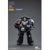 JoyToy Space Marines - Raven Guard - Intercessors Brother Colvane 1/18 - Warhammer 40K