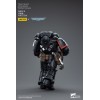JoyToy Space Marines - Raven Guard - Intercessors Brother Colvane 1/18 - Warhammer 40K